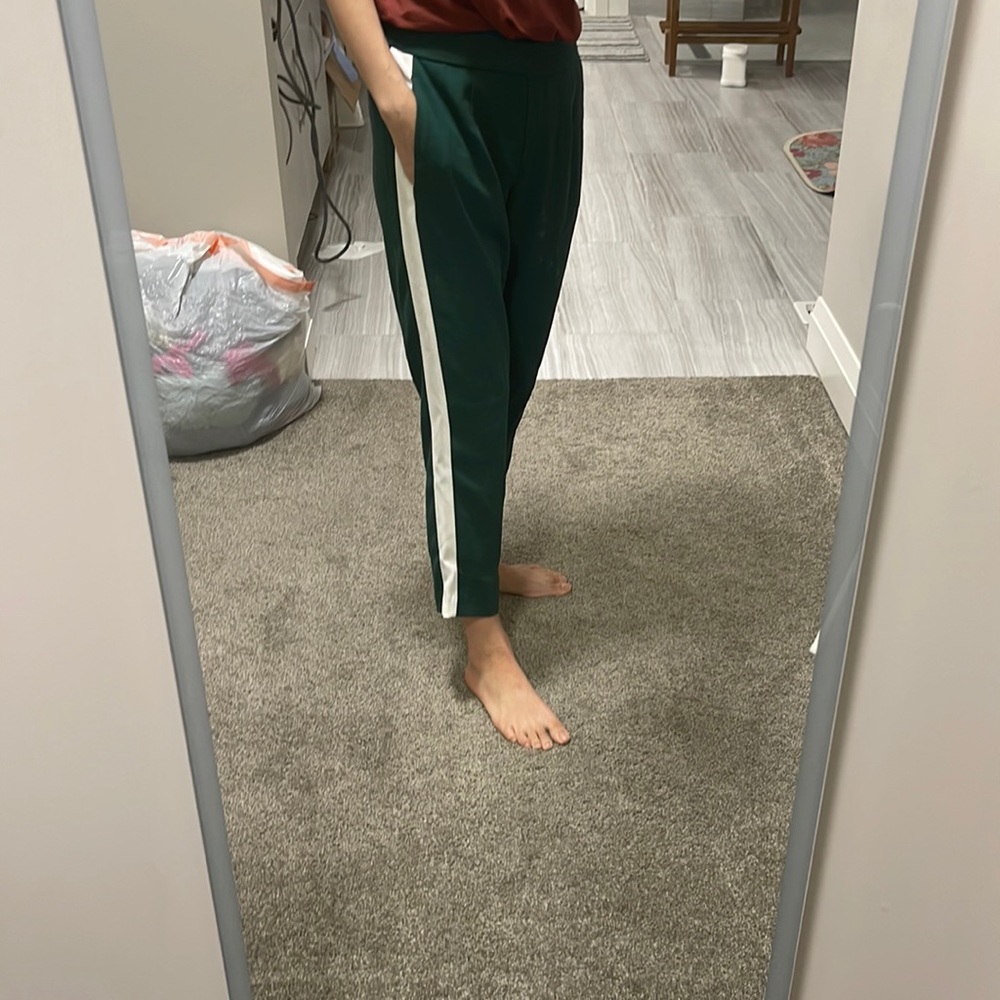babaton classic pants